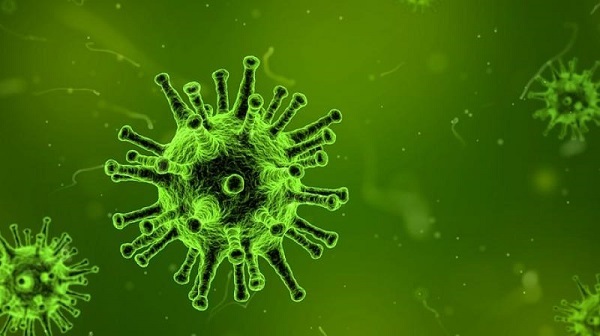 H3N2 वायरस के फैलाव को रोकने के लिए इस राज्य ने स्कूल किया बंद